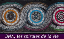 DNA, les spirales de la vie
